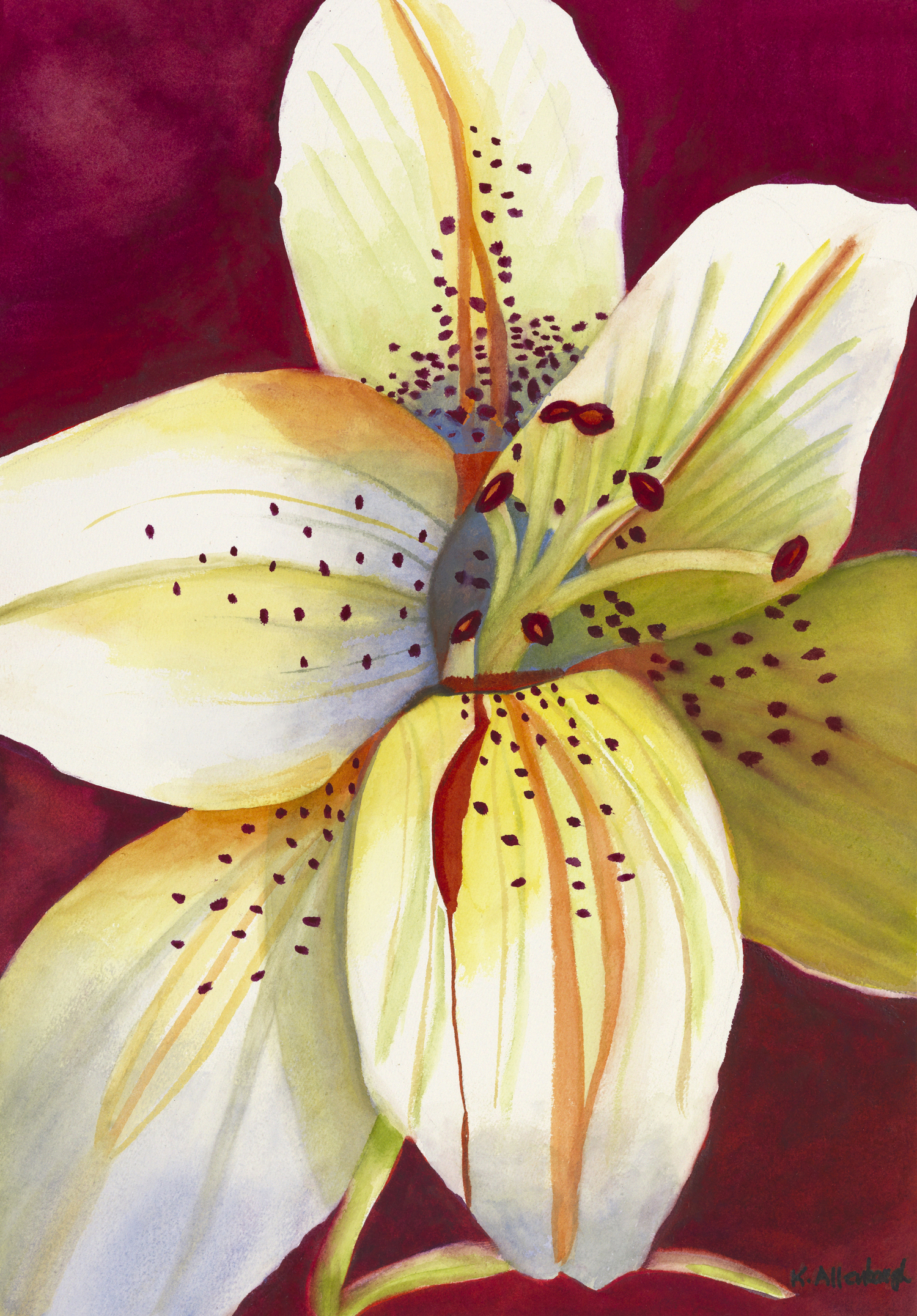 Whatever Floats Your Boat